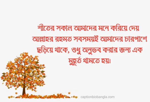 490+ শীত নিয়ে ক্যাপশন - শীতের ক্যাপশন ফেসবুক - শীতের রোমান্টিক ক্যাপশন ছন্দ ও উক্তি 2026