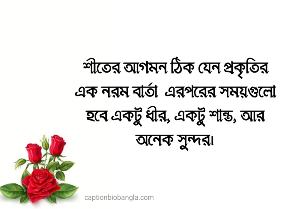 490+ শীত নিয়ে ক্যাপশন - শীতের ক্যাপশন ফেসবুক - শীতের রোমান্টিক ক্যাপশন ছন্দ ও উক্তি 2026