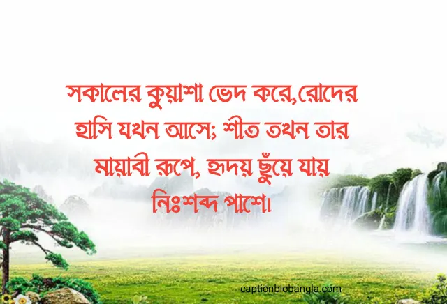 490+ শীত নিয়ে ক্যাপশন - শীতের ক্যাপশন ফেসবুক - শীতের রোমান্টিক ক্যাপশন ছন্দ ও উক্তি 2026