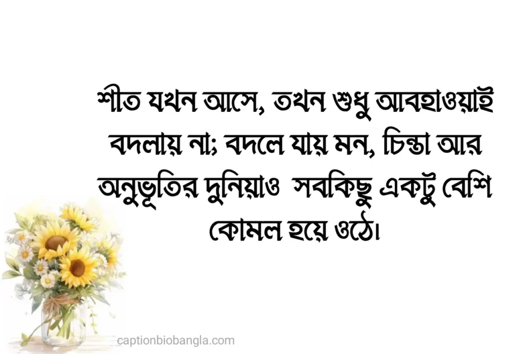 490+ শীত নিয়ে ক্যাপশন - শীতের ক্যাপশন ফেসবুক - শীতের রোমান্টিক ক্যাপশন ছন্দ ও উক্তি 2026