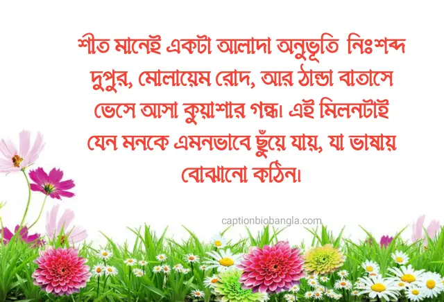 490+ শীত নিয়ে ক্যাপশন - শীতের ক্যাপশন ফেসবুক - শীতের রোমান্টিক ক্যাপশন ছন্দ ও উক্তি 2026