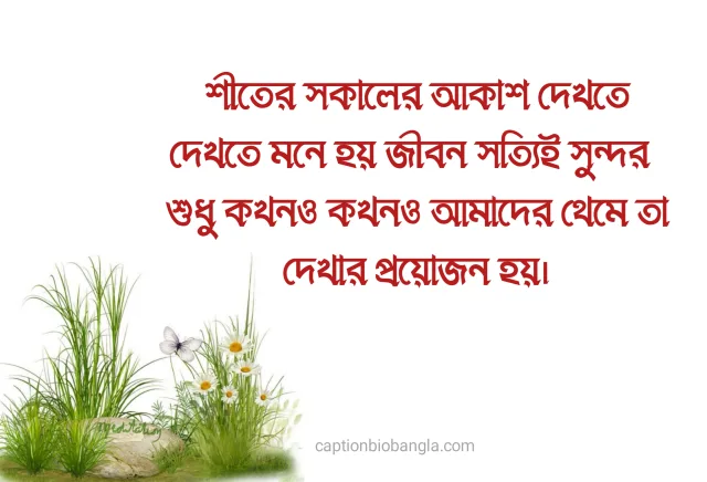 490+ শীত নিয়ে ক্যাপশন - শীতের ক্যাপশন ফেসবুক - শীতের রোমান্টিক ক্যাপশন ছন্দ ও উক্তি 2026