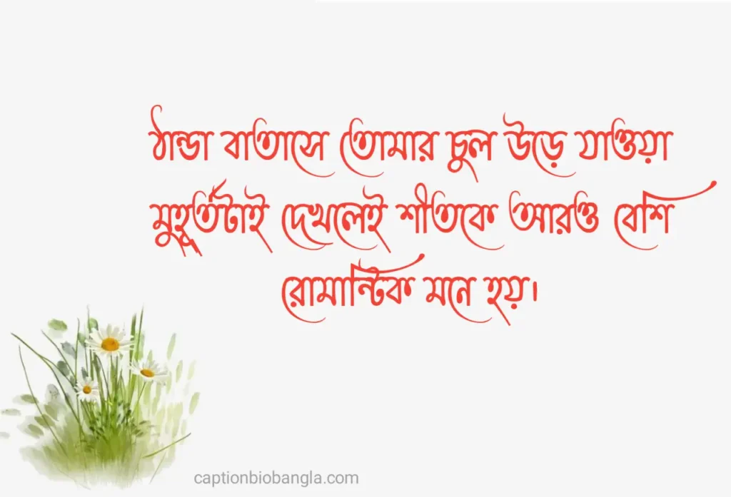 490+ শীত নিয়ে ক্যাপশন - শীতের ক্যাপশন ফেসবুক - শীতের রোমান্টিক ক্যাপশন ছন্দ ও উক্তি 2026