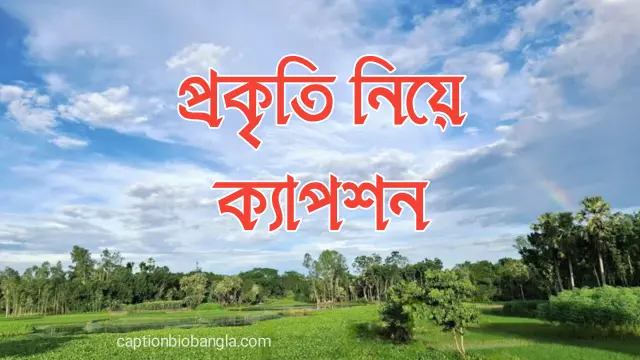 প্রকৃতি নিয়ে ক্যাপশন ২০২৬ | সুন্দর, সবুজ, গ্রামের, ফেসবুক, ইসলামিক, রোমান্টিক ও English Caption