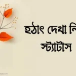 হঠাৎ দেখা নিয়ে স্ট্যাটাস | হঠাৎ দেখা নিয়ে ক্যাপশন, উক্তি, কবিতা ও কিছু মনের কথা ২০২৬